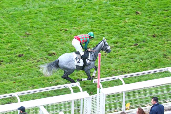 Photo d'arrivée de la course pmu PRIX LEOPOLD BARA à AUTEUIL le Vendredi 29 octobre 2021