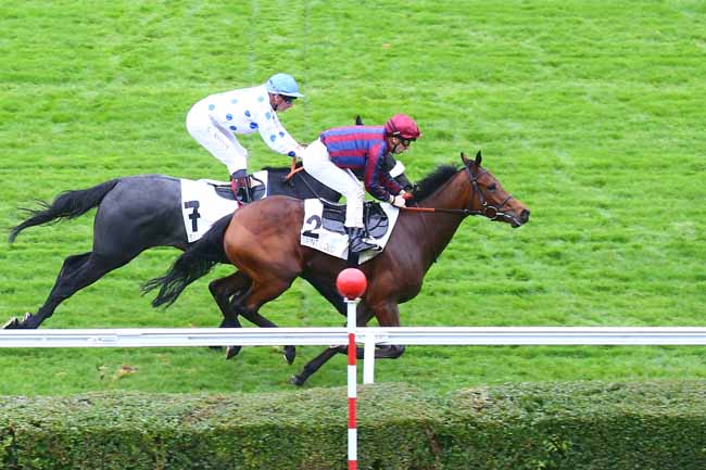 Photo d'arrivée de la course pmu PRIX DOUVE à SAINT CLOUD le Dimanche 31 octobre 2021