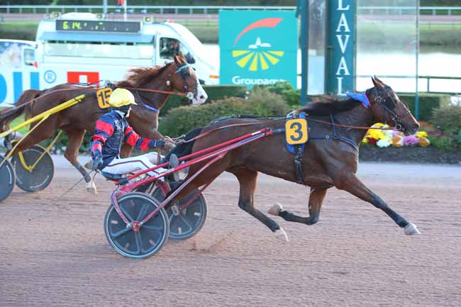 Photo d'arrivée de la course pmu PRIX ALEXANDRE DALIBARD - CREDIT AGRICOLE à LAVAL le Lundi 1 novembre 2021