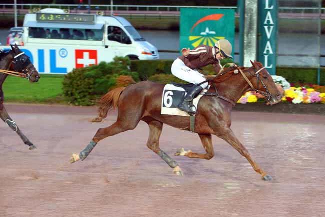 Photo d'arrivée de la course pmu PRIX ANNICK ET GEORGES DREUX à LAVAL le Lundi 1 novembre 2021