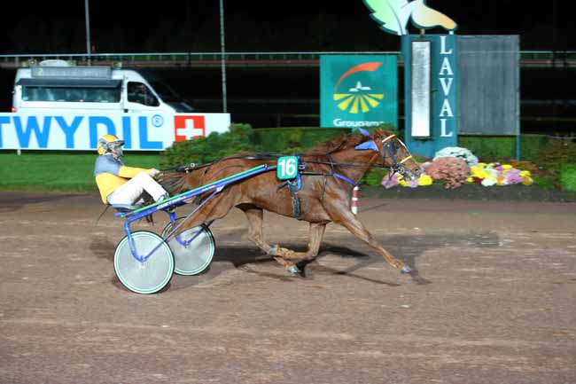 Photo d'arrivée de la course pmu PRIX GEORGES PORCHER à LAVAL le Lundi 1 novembre 2021