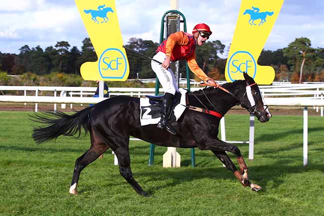 Photo d'arrivée de la course pmu PRIX STYRAX à FONTAINEBLEAU le Mardi 2 novembre 2021