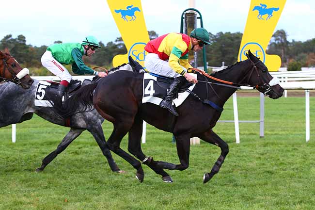 Photo d'arrivée de la course pmu GRANDE COURSE DE HAIES DE FONTAINEBLEAU à FONTAINEBLEAU le Mardi 2 novembre 2021