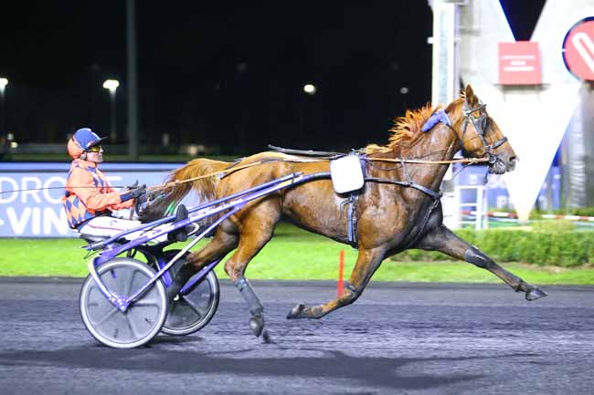 Photo d'arrivée de la course pmu PRIX IRMA à PARIS-VINCENNES le Mardi 2 novembre 2021