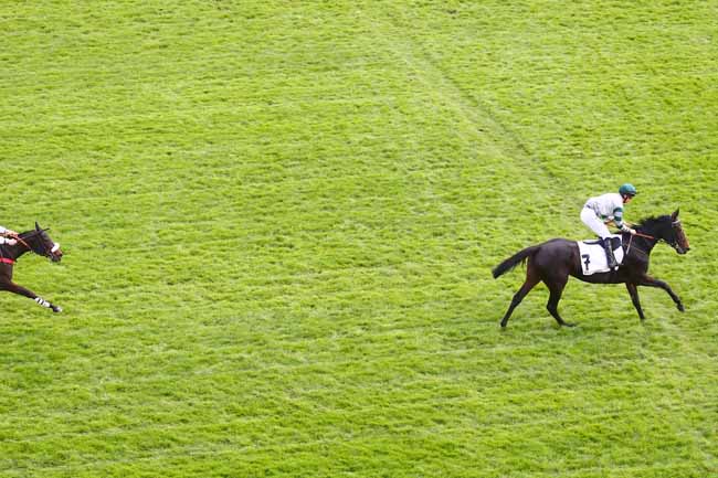 Photo d'arrivée de la course pmu PRIX BERNARD SECLY à AUTEUIL le Dimanche 7 novembre 2021
