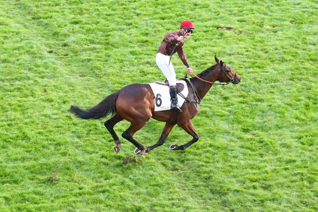 Photo d'arrivée de la course pmu PRIX CAMBACERES - GRANDE COURSE DE HAIES DES 3 ANS à AUTEUIL le Dimanche 7 novembre 2021