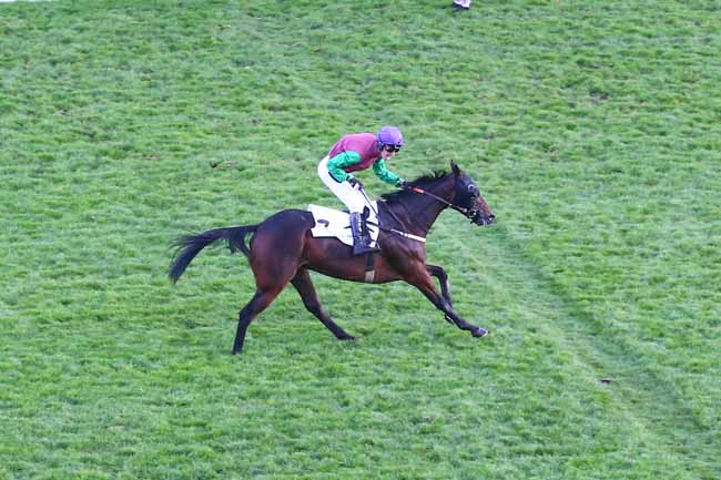 Photo d'arrivée de la course pmu PRIX RFM - PRIX COUNT SCHOMBERG à AUTEUIL le Dimanche 7 novembre 2021