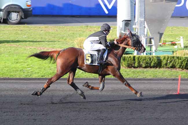 Photo d'arrivée de la course pmu PRIX D'ANGERS à PARIS-VINCENNES le Lundi 8 novembre 2021