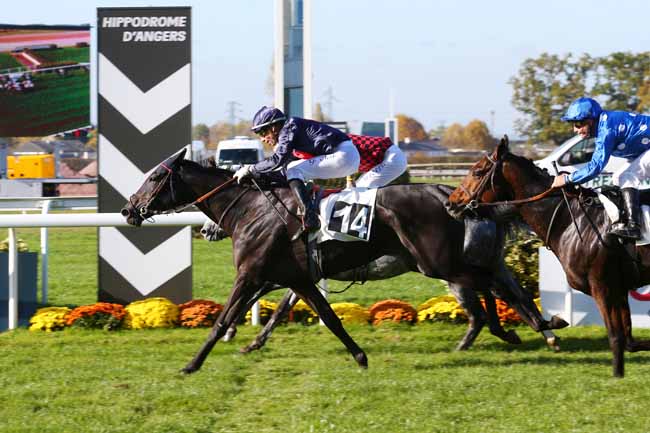 Photo d'arrivée de la course pmu HANDICAP D'ANGERS LOIRE METROPOLE à ANGERS le Mardi 9 novembre 2021