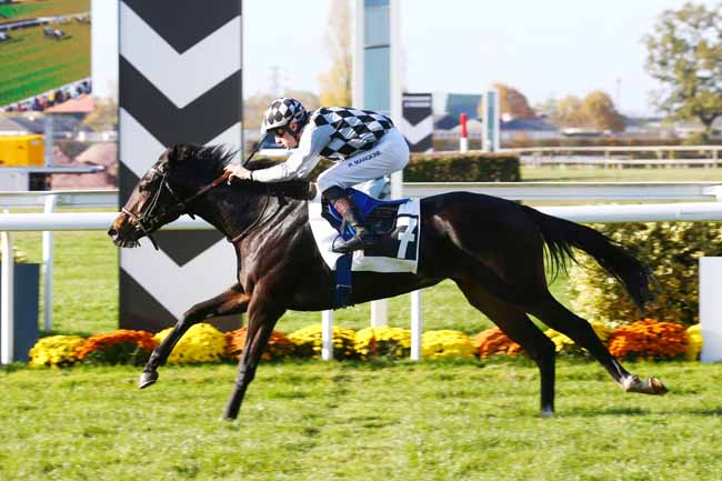 Photo d'arrivée de la course pmu PRIX CHOCOLATS MATHEZ à ANGERS le Mardi 9 novembre 2021
