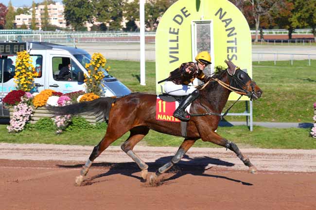 Photo d'arrivée de la course pmu PRIX MISS FRANCE 2021 / RFM à NANTES le Mercredi 10 novembre 2021