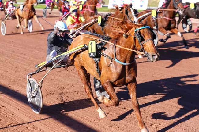 Photo d'arrivée de la course pmu GRAND NATIONAL DU TROT PARIS-TURF à NANTES le Mercredi 10 novembre 2021