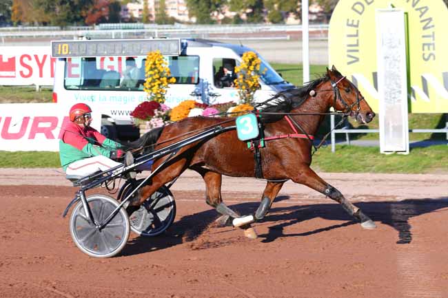 Photo d'arrivée de la course pmu PRIX MG STORE NANTES à NANTES le Mercredi 10 novembre 2021