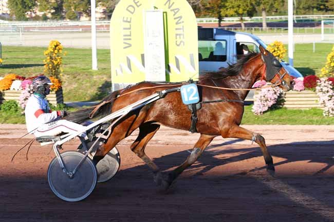 Photo d'arrivée de la course pmu PRIX MOET ET CHANDON à NANTES le Mercredi 10 novembre 2021