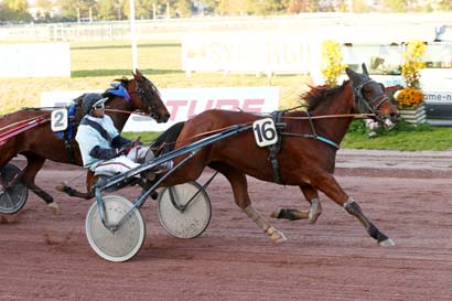 Photo d'arrivée de la course pmu PRIX REVERDY à NANTES le Mercredi 10 novembre 2021