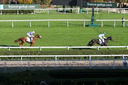 Photo d'arrivée de la course pmu PRIX PHARSALE à SAINT CLOUD le Mercredi 10 novembre 2021