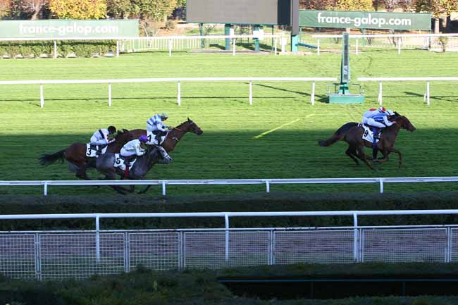 Photo d'arrivée de la course pmu PRIX HULA DANCER à SAINT CLOUD le Mercredi 10 novembre 2021