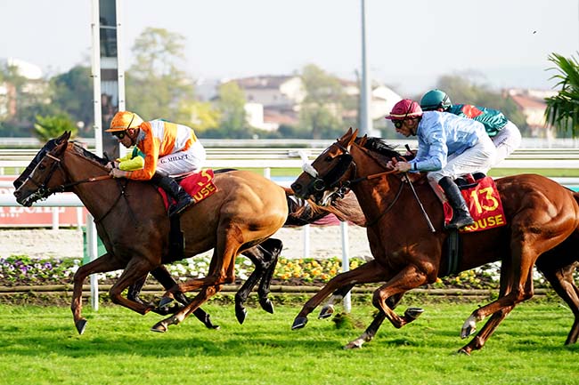 Photo d'arrivée de la course pmu PRIX DE LA VILLE DE TOULOUSE - PRIX TOULOUSE FM à TOULOUSE le Jeudi 11 novembre 2021