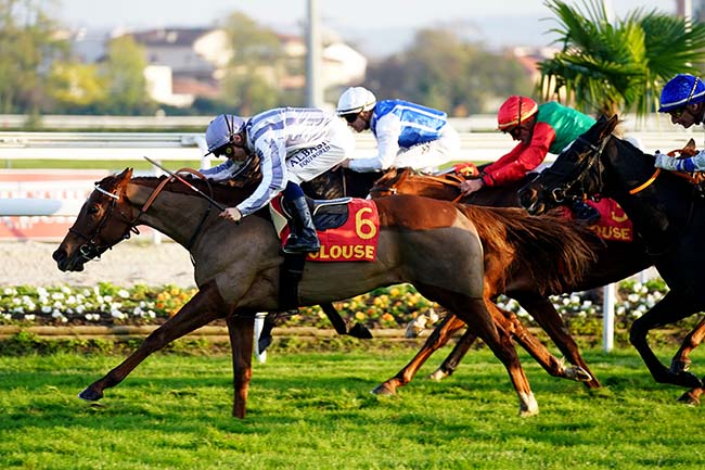 Photo d'arrivée de la course pmu PRIX FILLE DE L'AIR à TOULOUSE le Jeudi 11 novembre 2021