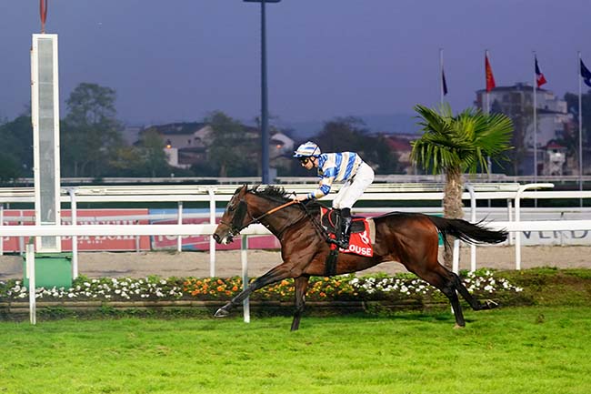 Photo d'arrivée de la course pmu PRIX JEROME RAMBAUD à TOULOUSE le Jeudi 11 novembre 2021