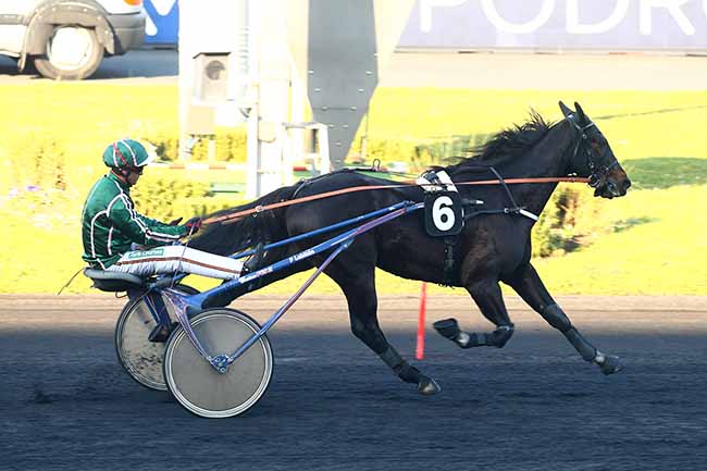 Photo d'arrivée de la course pmu PRIX DE BELLE-ILE à PARIS-VINCENNES le Jeudi 11 novembre 2021
