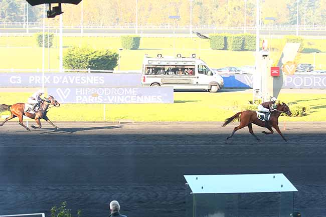 Photo d'arrivée de la course pmu PRIX D'AVESNES à PARIS-VINCENNES le Jeudi 11 novembre 2021