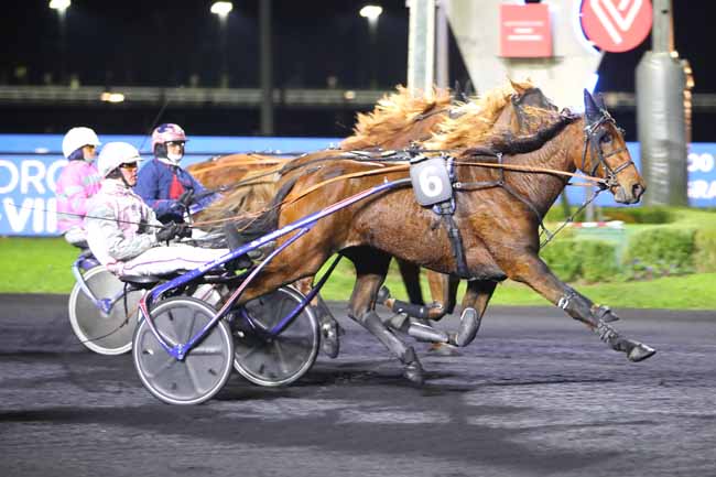Photo d'arrivée de la course pmu PRIX PALATIA à PARIS-VINCENNES le Vendredi 12 novembre 2021
