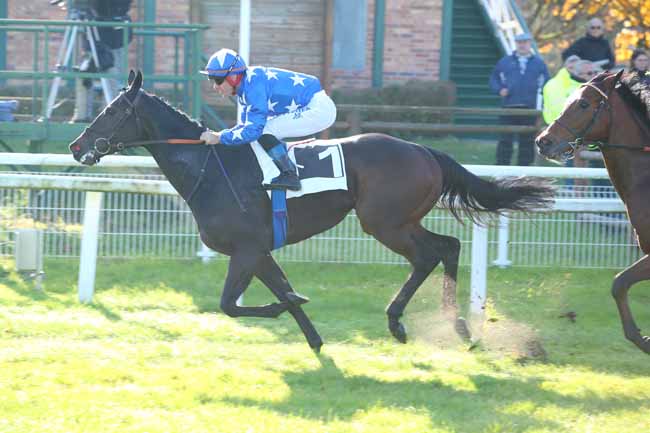 Photo d'arrivée de la course pmu PRIX CONTESSINA à FONTAINEBLEAU le Vendredi 12 novembre 2021