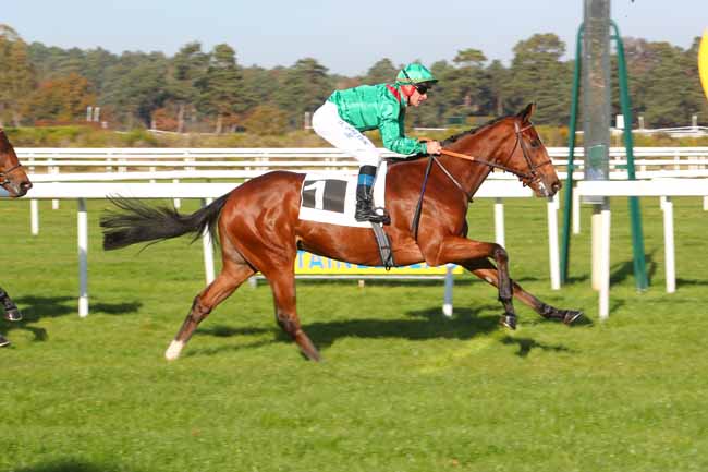 Photo d'arrivée de la course pmu PRIX DE LA TOUCHE AUX MULETS à FONTAINEBLEAU le Vendredi 12 novembre 2021