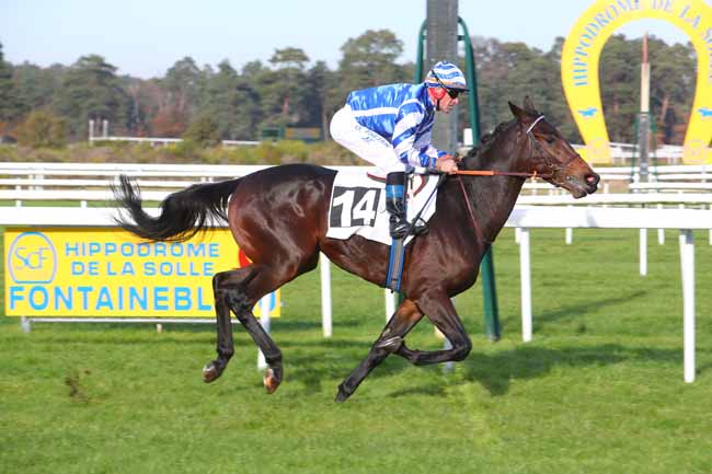 Photo d'arrivée de la course pmu PRIX DU MONT PIERREUX à FONTAINEBLEAU le Vendredi 12 novembre 2021