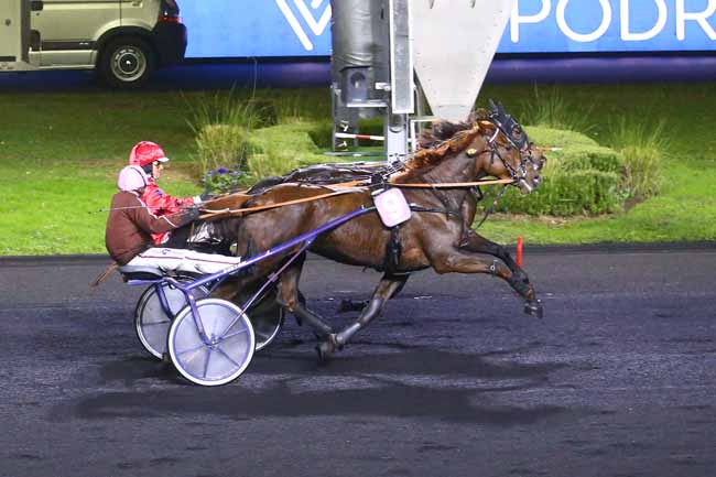 Photo d'arrivée de la course pmu PRIX REINE DU CORTA à PARIS-VINCENNES le Samedi 13 novembre 2021