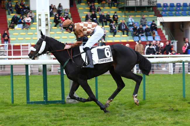 Photo d'arrivée de la course pmu PRIX LYCOMING à COMPIEGNE le Samedi 13 novembre 2021