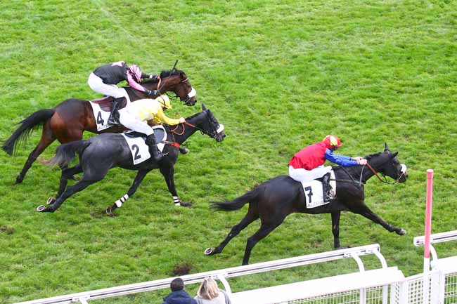 Photo d'arrivée de la course pmu PRIX ROBERT DE LIPOWSKI à AUTEUIL le Dimanche 14 novembre 2021