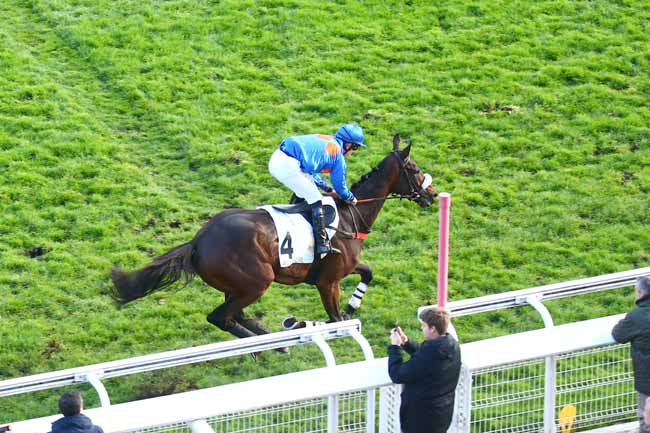 Photo d'arrivée de la course pmu PRIX RENAUD DU VIVIER (GRANDE COURSE DE HAIES DES 4 ANS) à AUTEUIL le Dimanche 14 novembre 2021