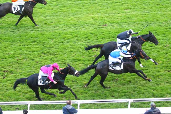 Photo d'arrivée de la course pmu PRIX TOURNAY à AUTEUIL le Dimanche 14 novembre 2021