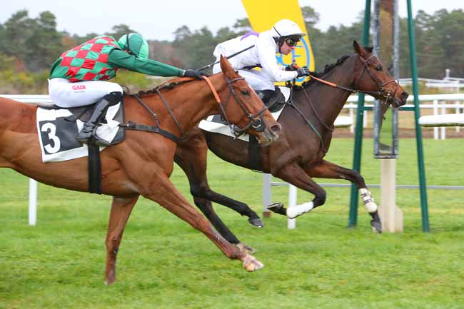 Photo d'arrivée de la course pmu PRIX GAUTIER DE LA SELLE à FONTAINEBLEAU le Mardi 16 novembre 2021