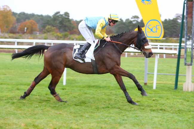 Photo d'arrivée de la course pmu PRIX PORANIA (PRIX DU THEATRE IMPERIAL DU CHATEAU DE FONTAINEBLEAU) à FONTAINEBLEAU le Mardi 16 novembre 2021