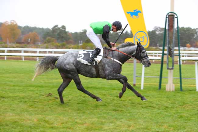 Photo d'arrivée de la course pmu PRIX DU DEBUCHER à FONTAINEBLEAU le Mardi 16 novembre 2021