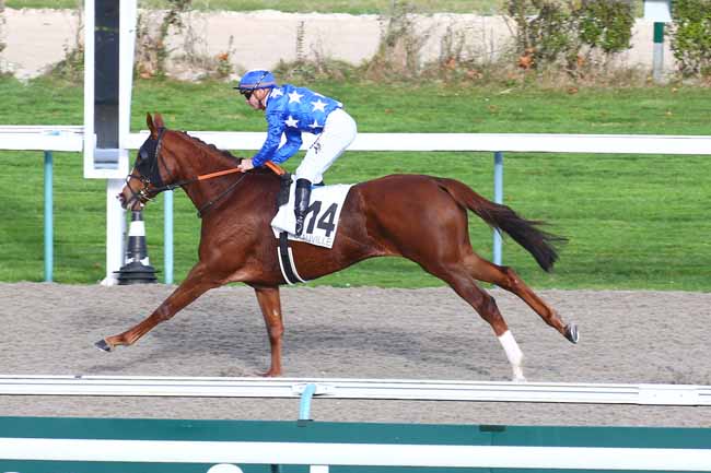 Photo d'arrivée de la course pmu PRIX DES POIRIERS à DEAUVILLE le Mercredi 17 novembre 2021