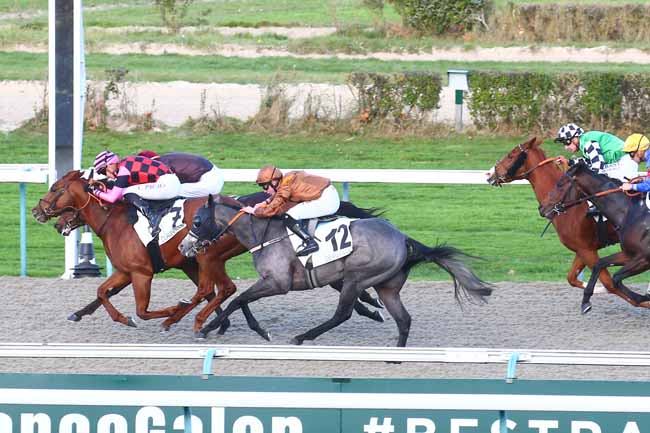 Photo d'arrivée de la course pmu PRIX DU PHARE à DEAUVILLE le Mercredi 17 novembre 2021