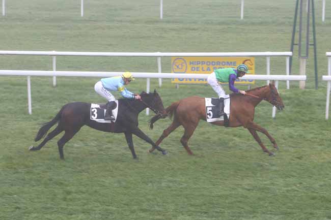 Photo d'arrivée de la course pmu PRIX DES CHEVREUILS à FONTAINEBLEAU le Jeudi 18 novembre 2021