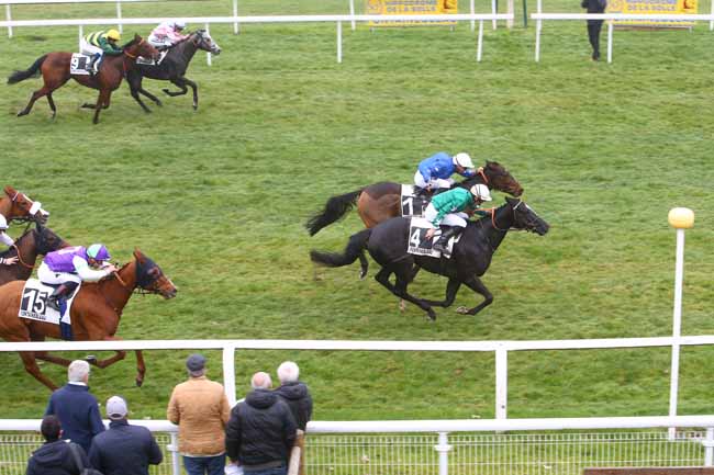 Photo d'arrivée de la course pmu PRIX DE LA SEINE-ET-MARNE à FONTAINEBLEAU le Jeudi 18 novembre 2021