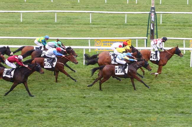 Photo d'arrivée de la course pmu PRIX DE LA SOCIETE DES COURSES DE RAMBOUILLET à FONTAINEBLEAU le Jeudi 18 novembre 2021