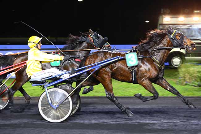 Photo d'arrivée de la course pmu PRIX SIWA à PARIS-VINCENNES le Vendredi 19 novembre 2021