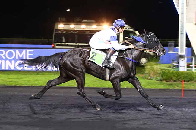Photo d'arrivée de la course pmu PRIX FRIZZA à PARIS-VINCENNES le Vendredi 19 novembre 2021