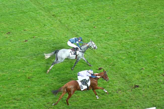 Photo d'arrivée de la course pmu PRIX FRANCOIS DE GANAY à AUTEUIL le Samedi 20 novembre 2021