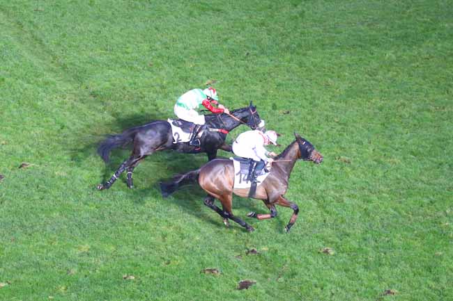 Photo d'arrivée de la course pmu PRIX BOUM à AUTEUIL le Samedi 20 novembre 2021