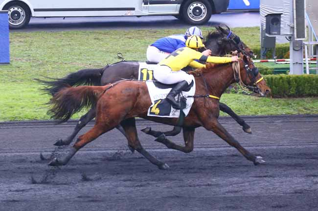 Photo d'arrivée de la course pmu PRIX DE BRIOUDE à PARIS-VINCENNES le Dimanche 21 novembre 2021