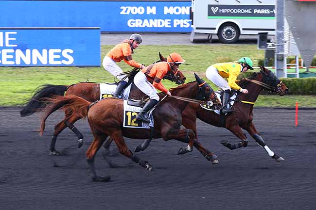 Photo d'arrivée de la course pmu PRIX DE JUSSY à PARIS-VINCENNES le Lundi 22 novembre 2021