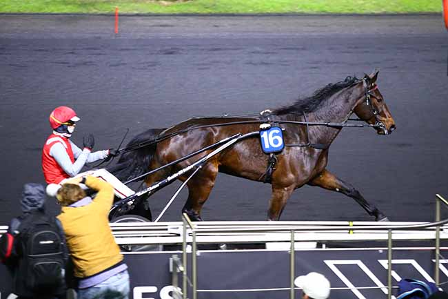 Photo d'arrivée de la course pmu PRIX DE BARENTON à PARIS-VINCENNES le Lundi 22 novembre 2021